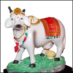 "Cow -  Pop Item-code001 - Click here to View more details about this Product
